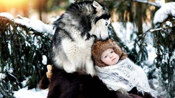 getImage-25