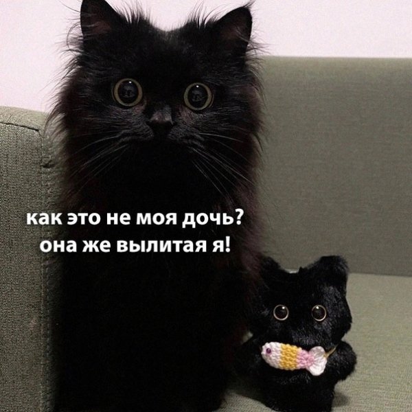 Опаньки!
