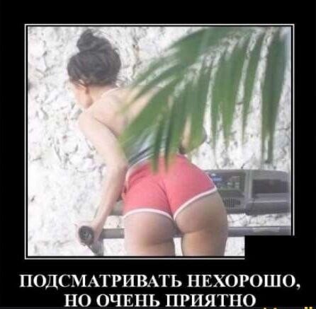 8ec7ae265769c05b10