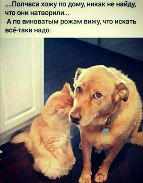 Полчаса хожу...