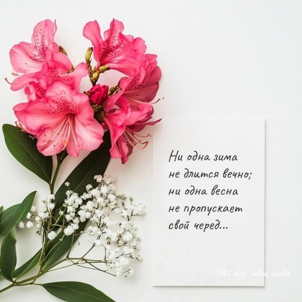 DfH odfAKHk4mXWkzYiA9rUePijEifz e4gbUKAeFmXCIi ZzdHswpHoXXMP