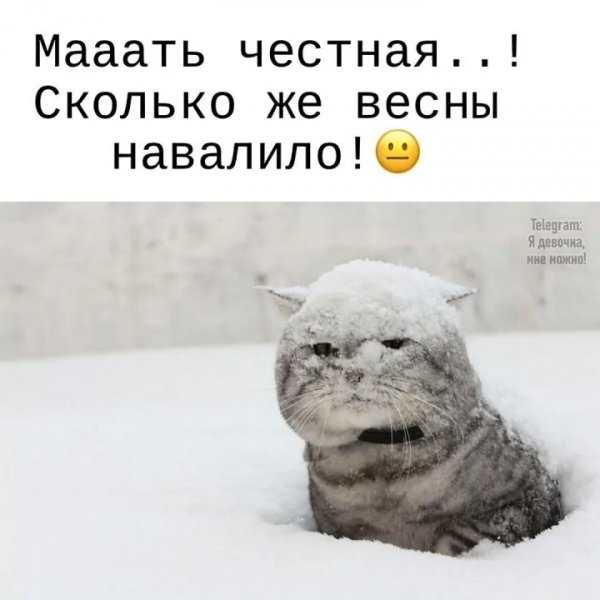 Сколько - же Весны привалило