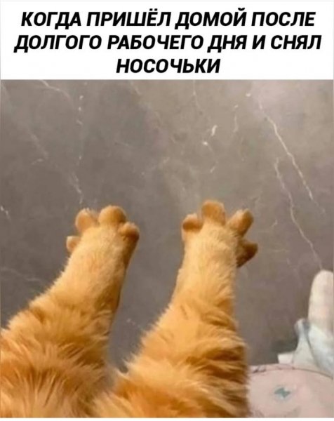 picture_383099288