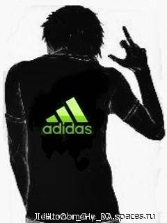 Kent Adidas