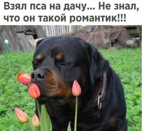img(4)