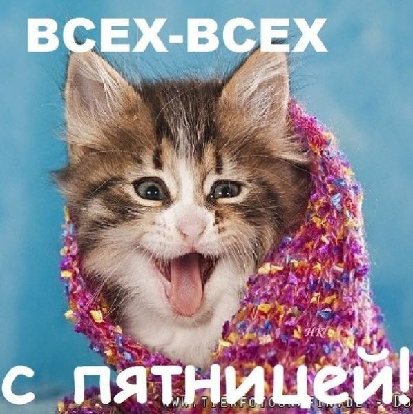 Да! ))