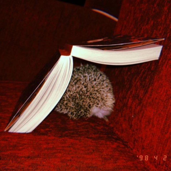 Спит