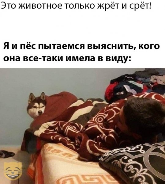 iPLBJNqmiAY