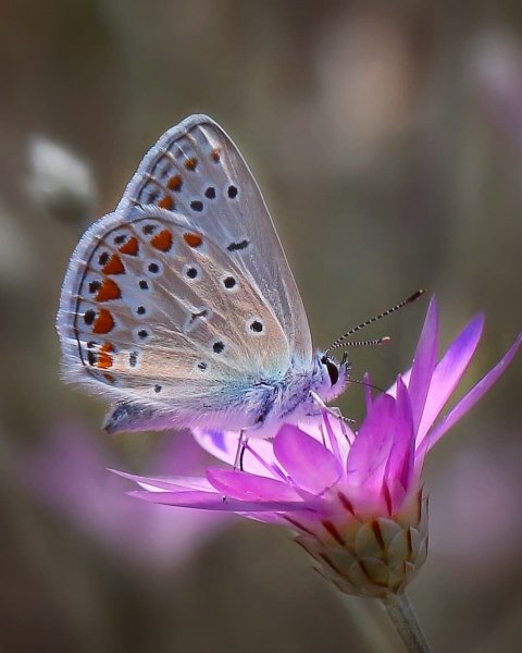 IMG-faa954ba4a9791c60dbb0a8ed4538cc8-V