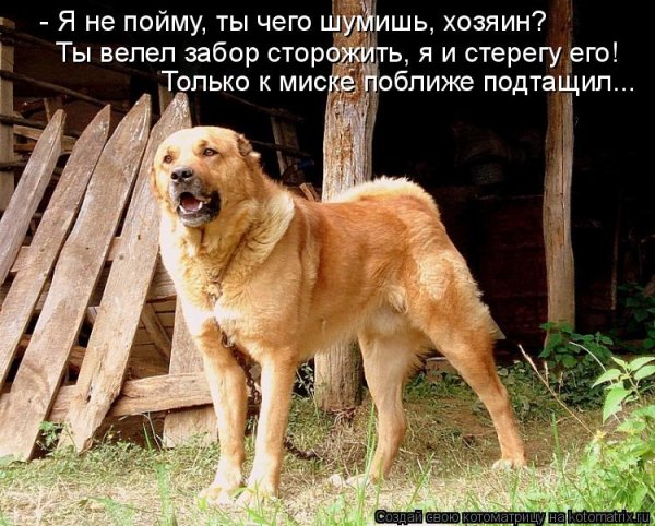Я не пойму...