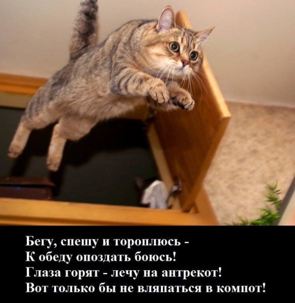 Да! ))