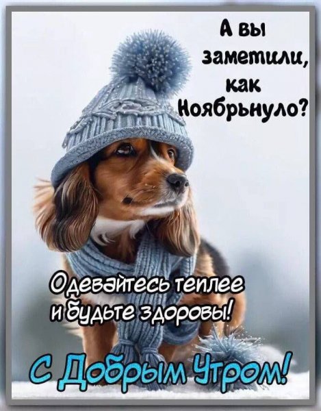IMG-20241106-WA0021