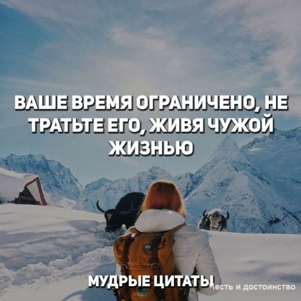 Мудрые цитаты