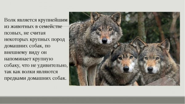 )))))))