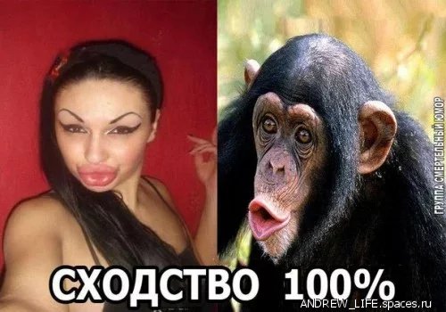 p.500.500.0-