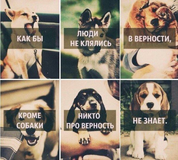 Так!
