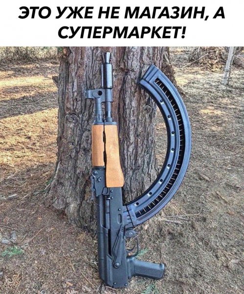 KnV1PL0NgMU