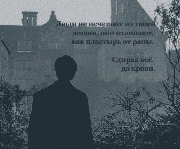 Раны