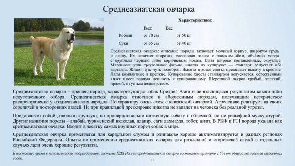 Алабай