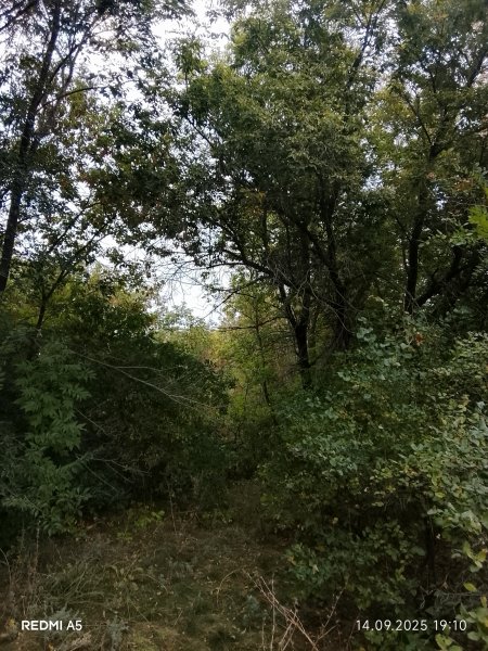 picture_396438544