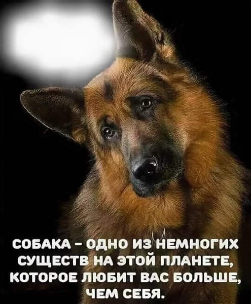 Так!