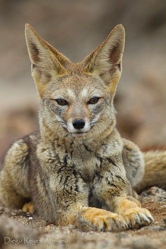 d99b63c702acdae13f687e6de5f98