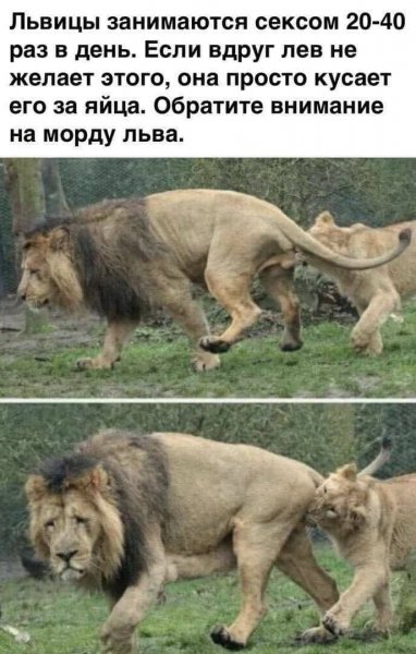 Жёстко)