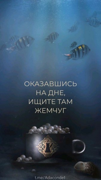 Жемчуг