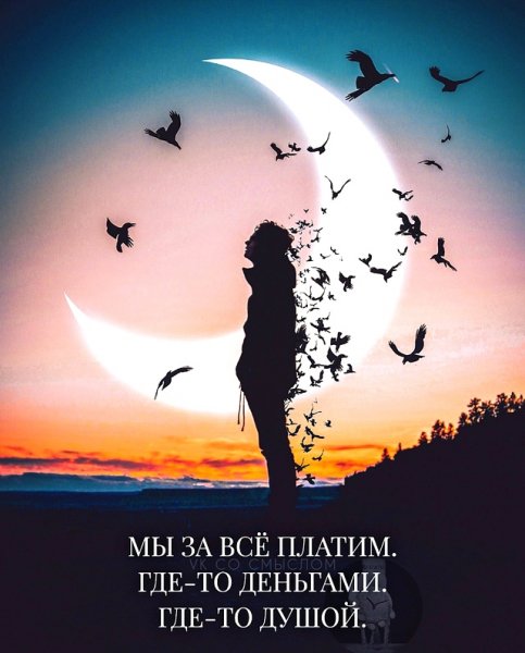 Жизнь
