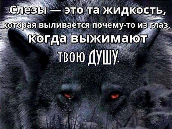 IMG 20200602 045400