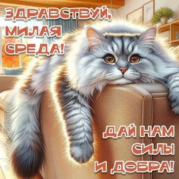 B9ca48af6435b3c97aa7a7640498b0bb