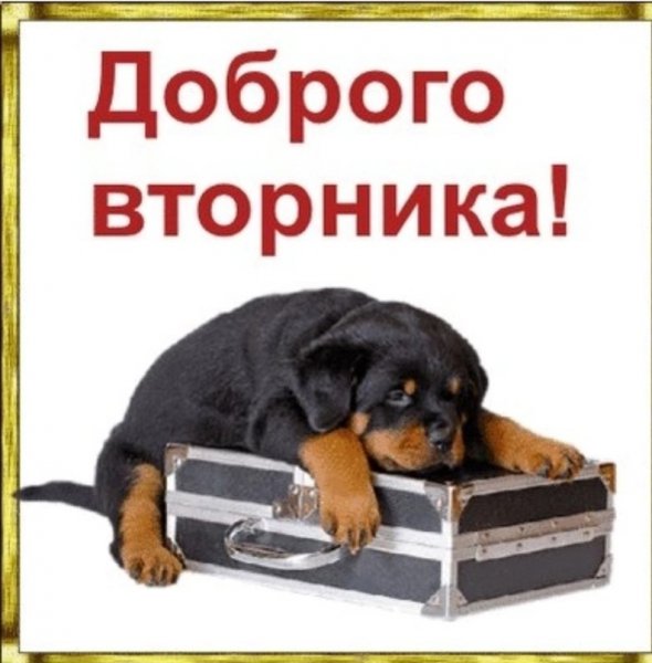Всем вам!