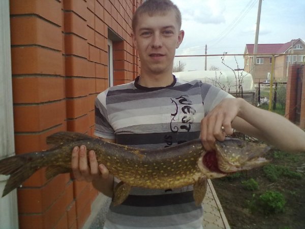 picture_39341794