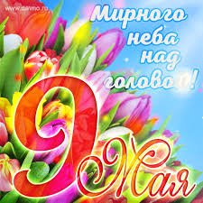 Images (78)