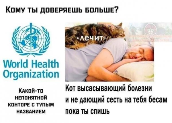 Jfyyqxty