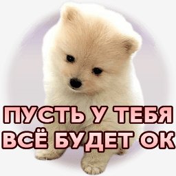 picture_179847752