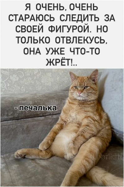 Печалька