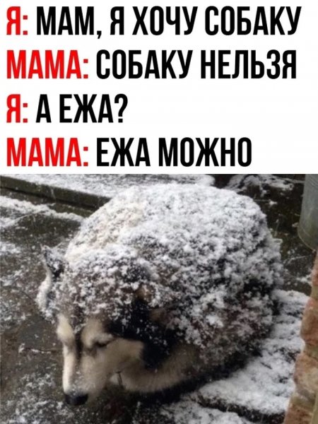 Снежик )