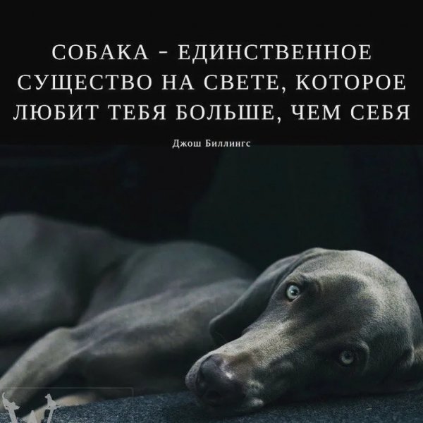 Верные слова!