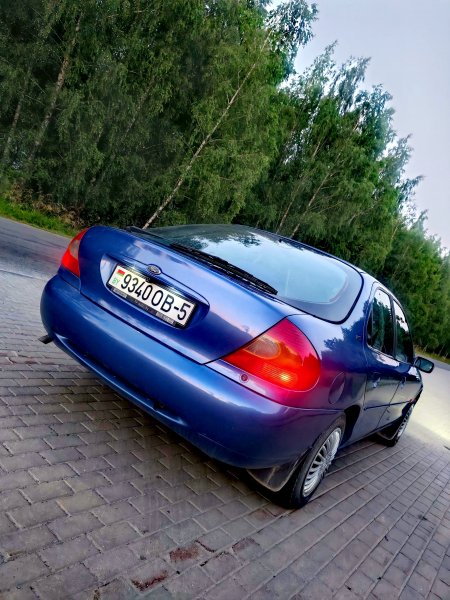 picture_417471397