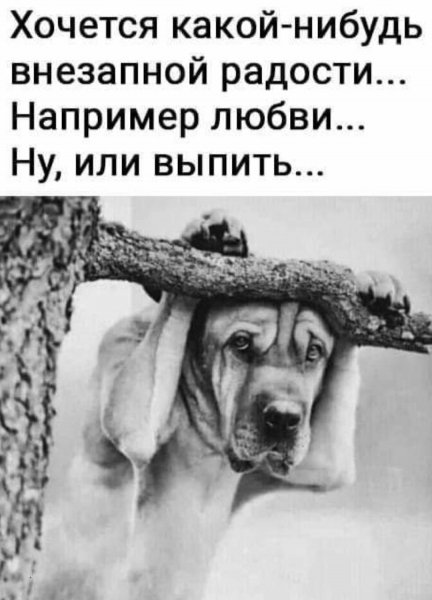 Ну, или выпить...