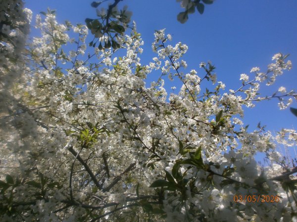 P5030001