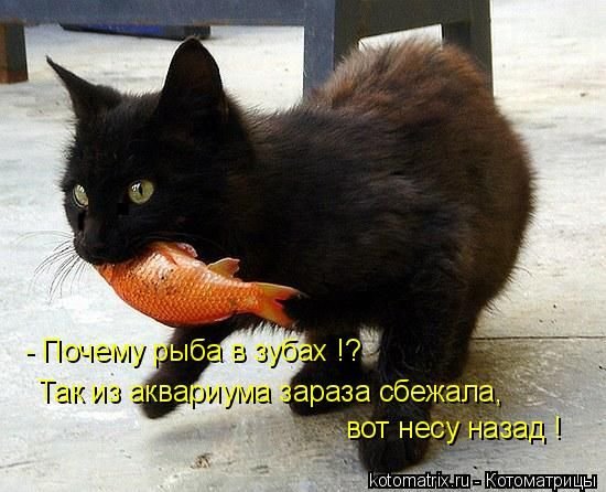 Опаньки!
