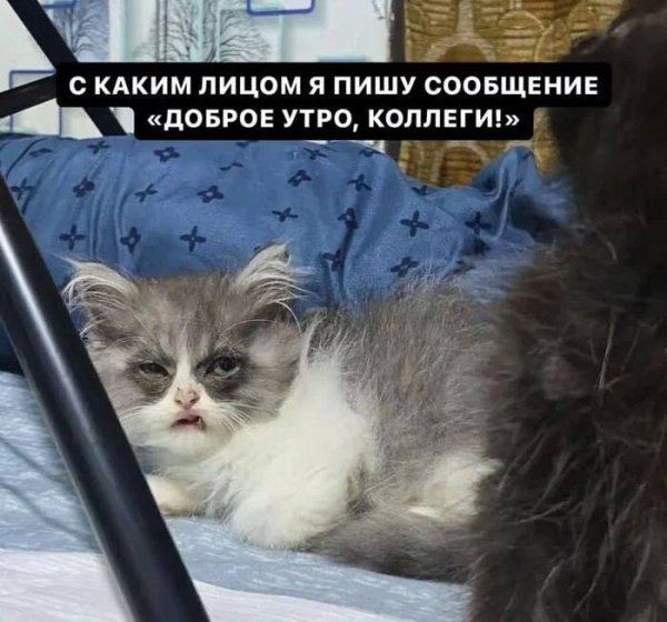 EMqcObJGHEfHUPuqvr-N6Dhs q6RccAU sYrbCWPs7naOQdDqOirY73QeB