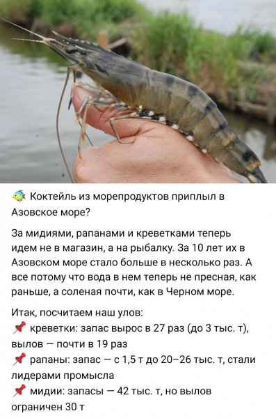 IMG 20260523 185422