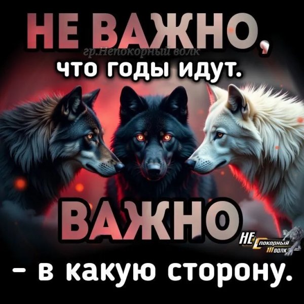 IMG 20260106 185657