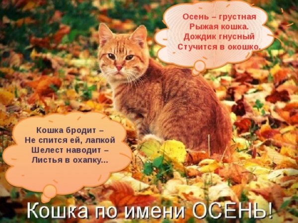 Осень