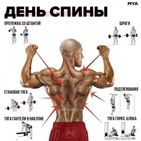 MNnJ-wITpO4-
