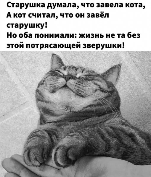 Но оба понимали...