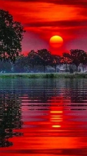 Природа